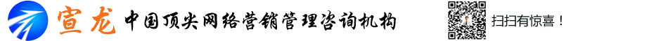 宣龙网络营销logo